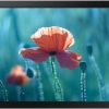 Digital Signages Samsung QB13R-M
