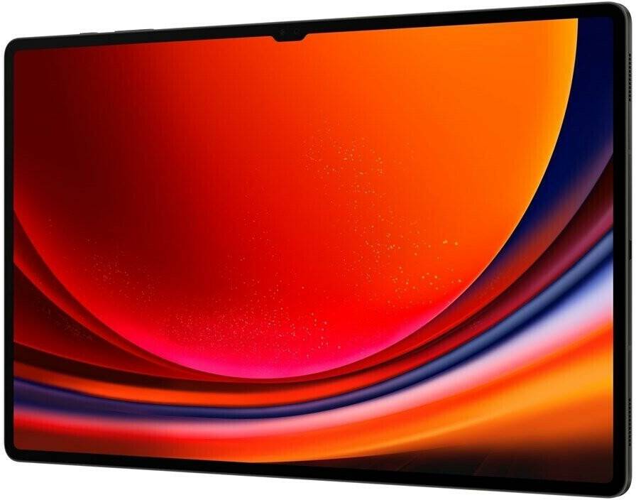 Samsung Galaxy Tab S9 Ultra512GB 5G grau Tablets